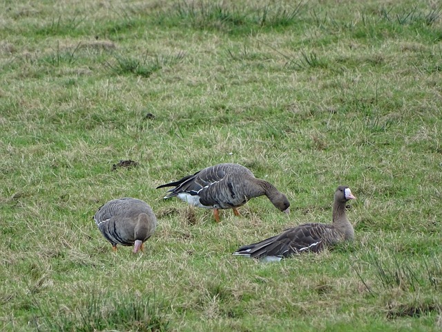 突频繁发生 突频繁发生
