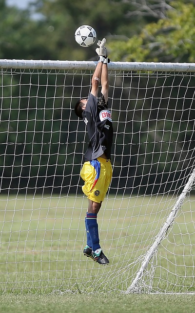 环岛路等景 环岛路等景